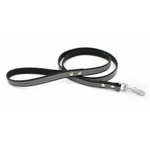 The Leather Dog Collar Lead
