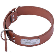 Pet Collar with Rein Padded Engraved Name & Number