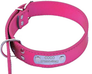 Pet Collar With Rein Padded Engraved Name & Number