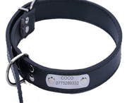 Pet Collar With Rein Padded Engraved Name & Number 